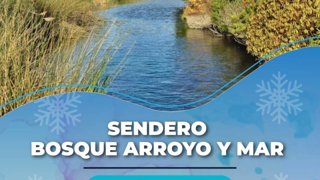 𝗦𝗘𝗡𝗗𝗘𝗥𝗢 𝗕𝗢𝗦𝗤𝗨𝗘 𝗔𝗥𝗥𝗢𝗬𝗢 𝗬 𝗠𝗔𝗥